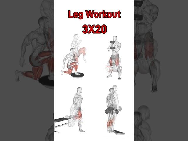 Legs workout l fitness World tv #legday #legworkout #gym #bodybuilder #workout #fitness #gymworkout