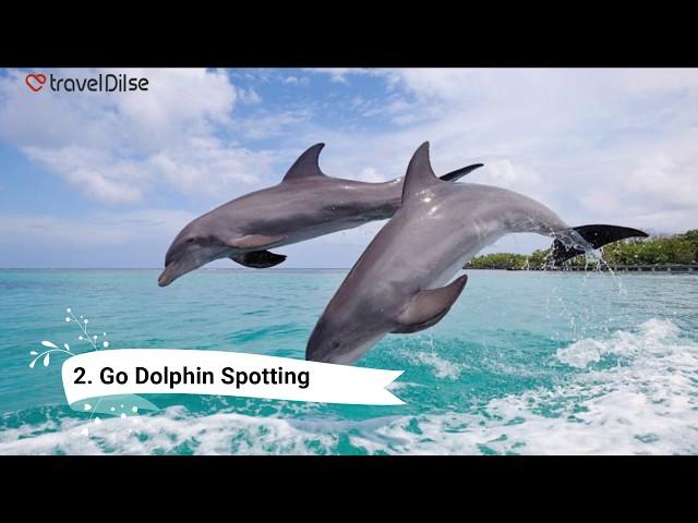 7 Things To Do In Mauritius | TravelDilSe