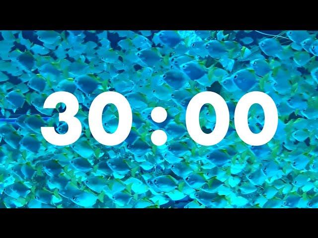 Productivity Plunge: 30-Minute Underwater Fish Timer for Laser-Focused Work