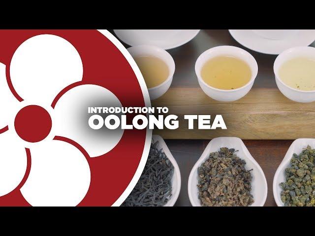 What is OOLONG TEA?