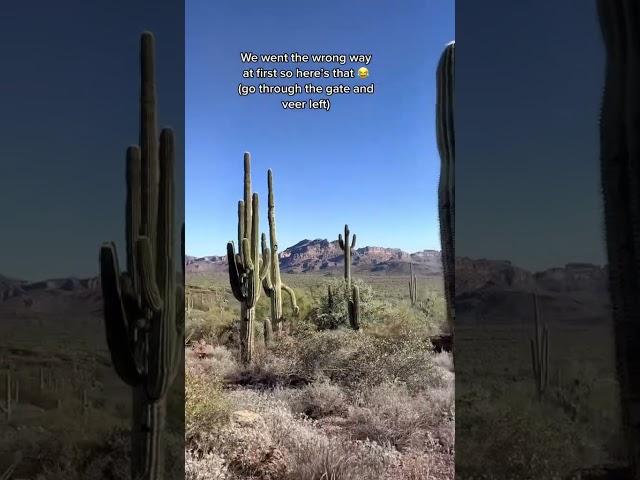 The best hike in Phoenix Arizona / the Wave Cave 