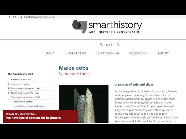 Maize cobs   Khan Academy Article Read along   Marsha Russell
