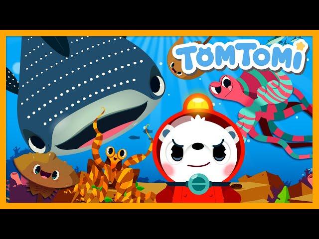 Unusual Ocean Animals | Unusual Series | Animal Song | Sea Animals Song | Kids Song | TOMTOMI