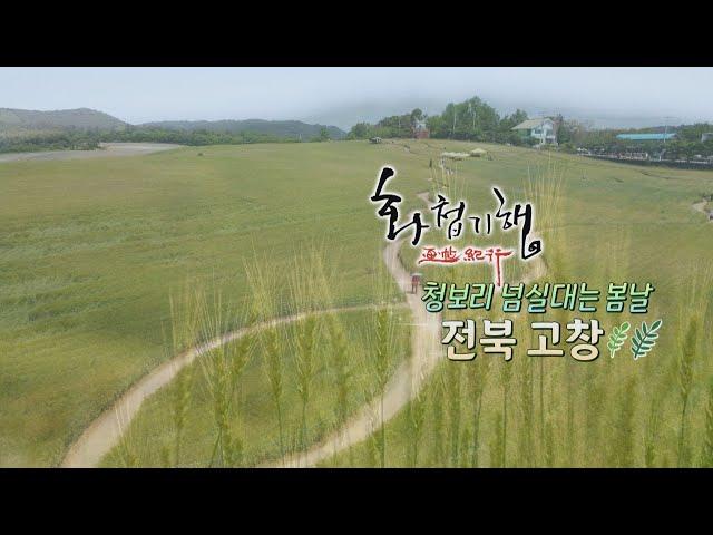 화첩기행 청보리 넘실대는 봄날 - 전북 고창