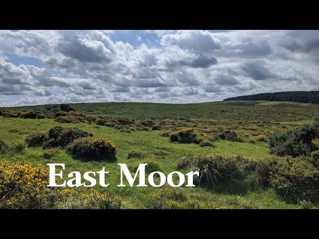 East Moor, Near Altarnun - Explore Bodmin Moor