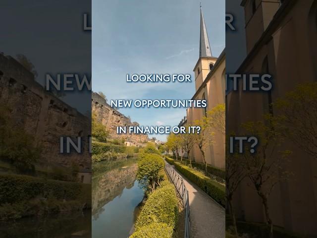 The Moovijob Night Luxembourg is back in 2024