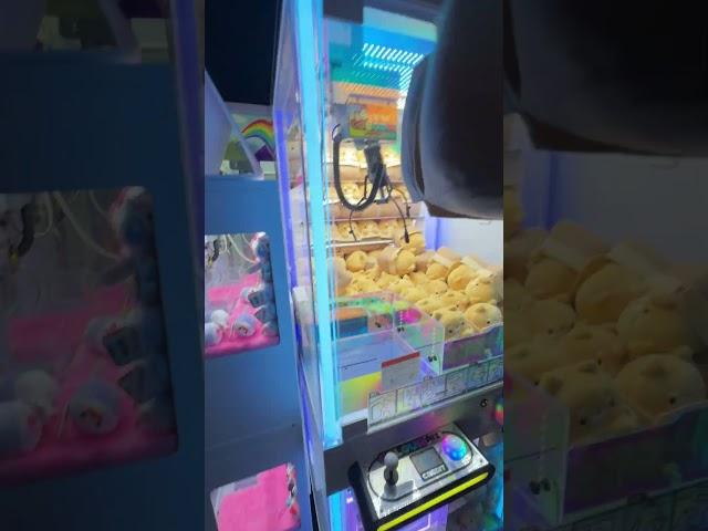 I Found a RARE Japanese Style Claw Machine!