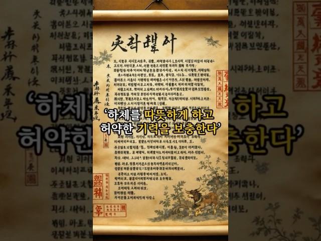 노화로 무너지는 하체를 잡는 음식!! #건강정보 #하체강화 #우족의효과