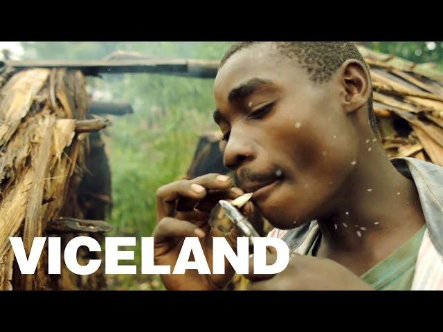 Pot, Pygmys, and Rebels in the Congo: WEEDIQUETTE - Cannabis in Congo (Trailer)