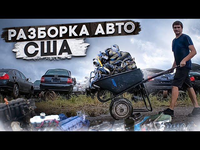 Разборка в Америке. KING OF THE JUNKYARD.