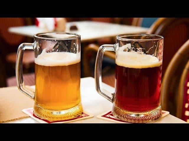What Is Wheat Beer? | Beer Brewing