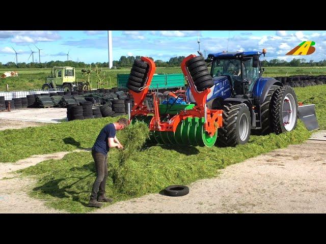 Grasernte 2022 Gras häckseln & silieren für Kühe, Bulle & BGA Landwirtschaft Traktor Farmers Germany