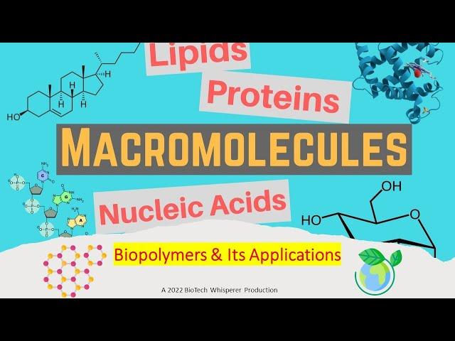 Biopolymers: A Guide to Eco-Friendly Materials (3 Minutes)