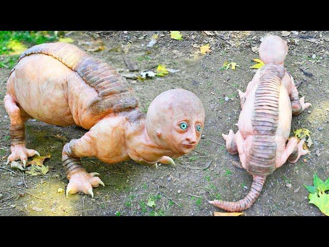 14 Animals That Are Born Only Once In a Thousand Years 720p