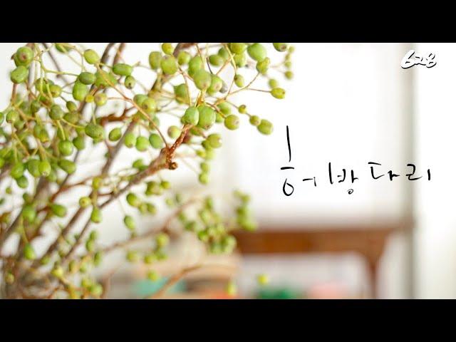 플라워레슨 628 꽃덤불 화기 센터피스 Flower lesson 628 Flower bushesUrn floral arrangement