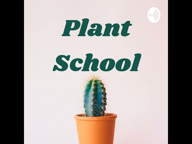 Plant Myth or Not; Can Plants Smell? | Ep. 52