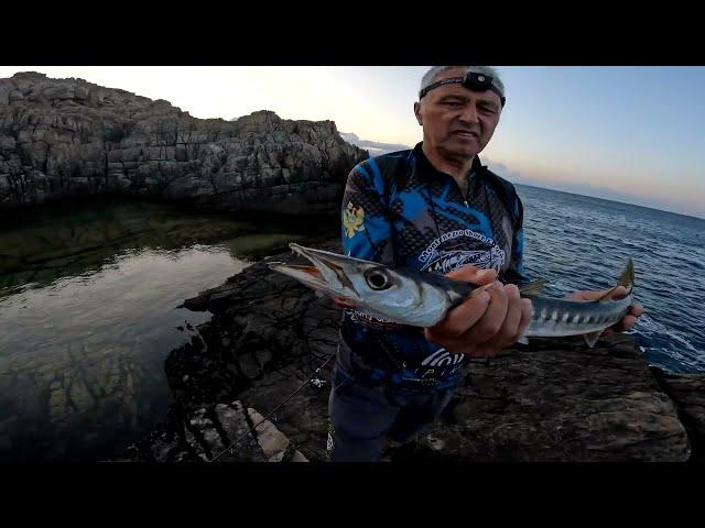 SHORE JIGGING ADRIATIC SEA SUMMER 2024