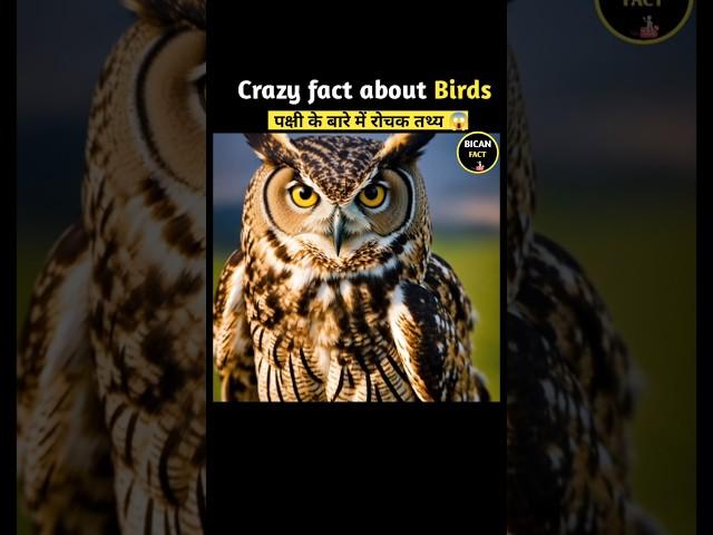 Crazy fact about Birds  mind blowing fact in Hindi #facts #shorts