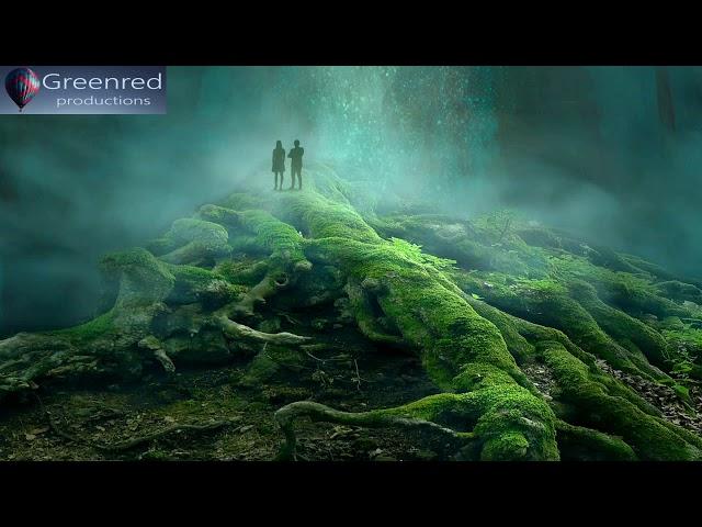 Binaural Beats Lucid Dreaming Music - 8 Hours Long Deep Sleep Music with Delta Waves