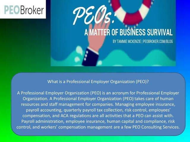 How to Find the Best PEO for Your Business