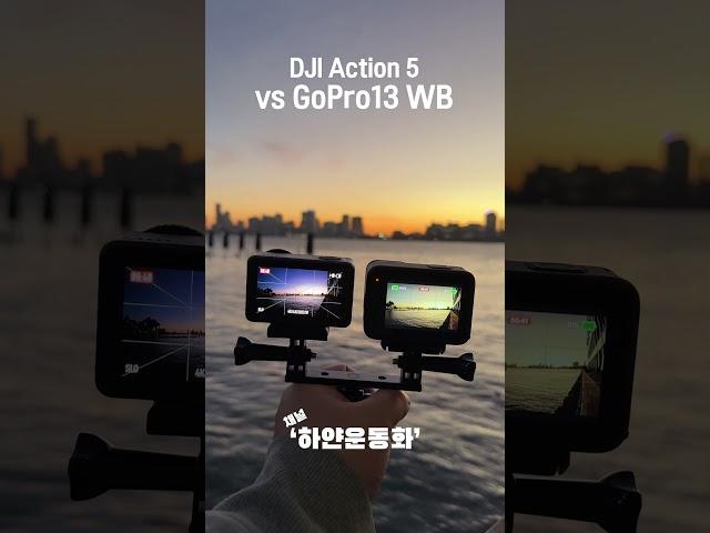 Accurate White Balance?? DJI Action 5 Pro VS GoPro Hero 13 Black