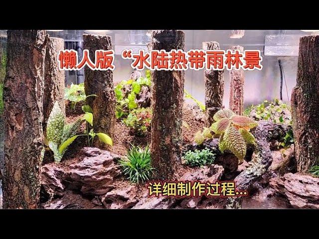 懒人版“水陆热带雨林景，这是魔幻的森林，这是详细的制作视频！