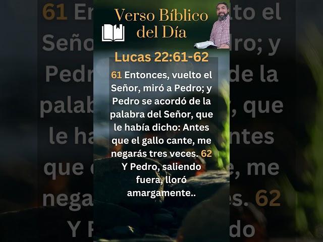 Pedro niega a Jesús - Versos Bíblicos del Día | Lucas 22:61-62 #shorts #audiobiblia #versodeldia