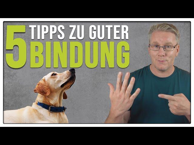 Sofort bessere BINDUNG! - 5 Tipps, für eine gute Beziehung zwischen Mensch und Hund