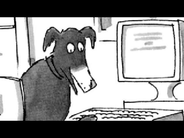 hunde im internet