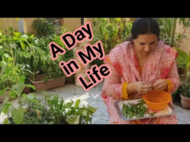 A Day in My Life Pakistani Mom Morning to Evening Routine |Single Mom Routines| Hindi Lockdown Vlogs