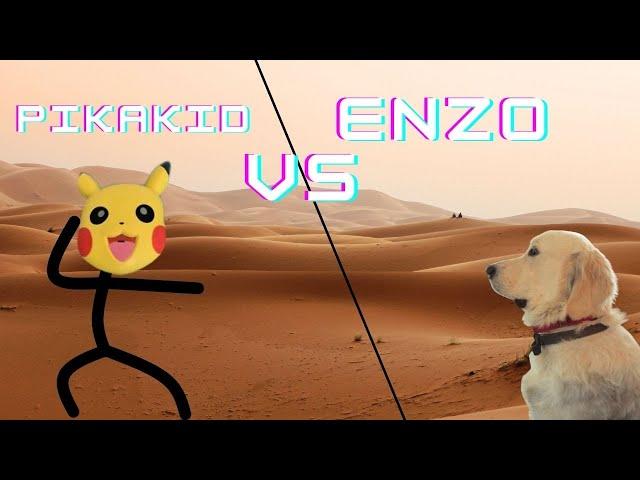 Pikakid vs Enzo #shorts #dogs #funny #viral #Enzo theretriever