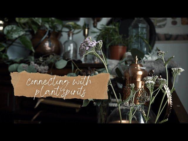 How to Connect with Plant Spirits | Beginner Witchcraft