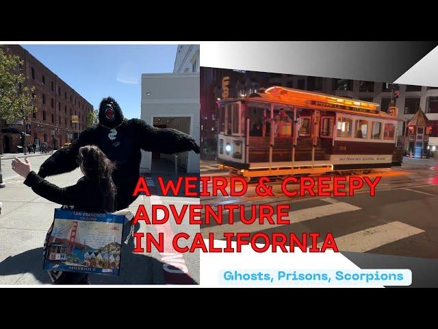 Creepy Encounters on my San Francisco Trip! Haunted Queen Anne Hotel, Alcatraz, & Waymo Car!