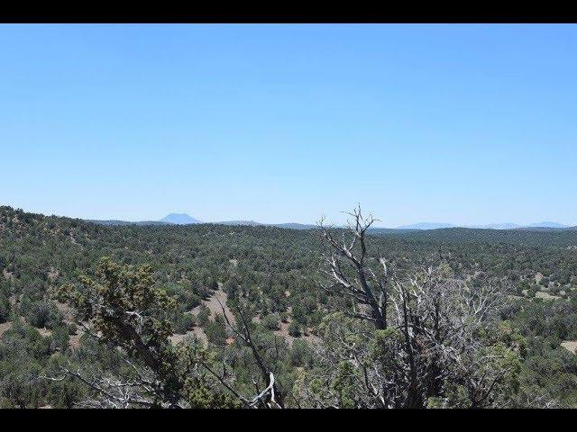 Beautiful Arizona Land for sale near Prescott National Forest!