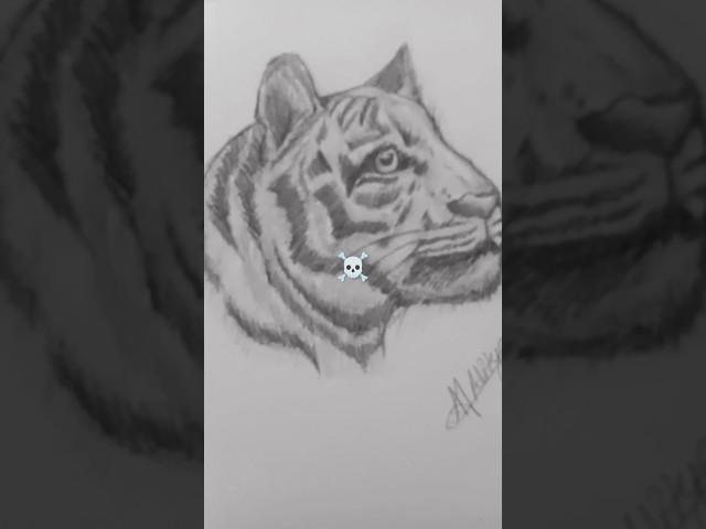 Hyper realistic drawing of tiger//#art #drawing