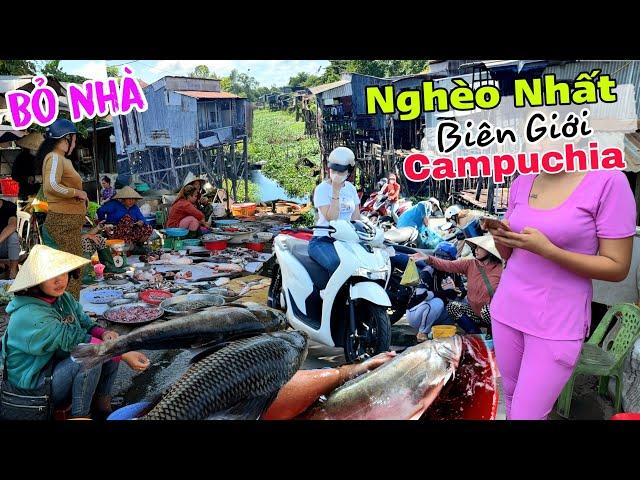 Mùa Cá Khủng chợ biên giới Campuchia - Bỏ nhà Làng nghèo nhất trong thành phồ Hồng Ngự