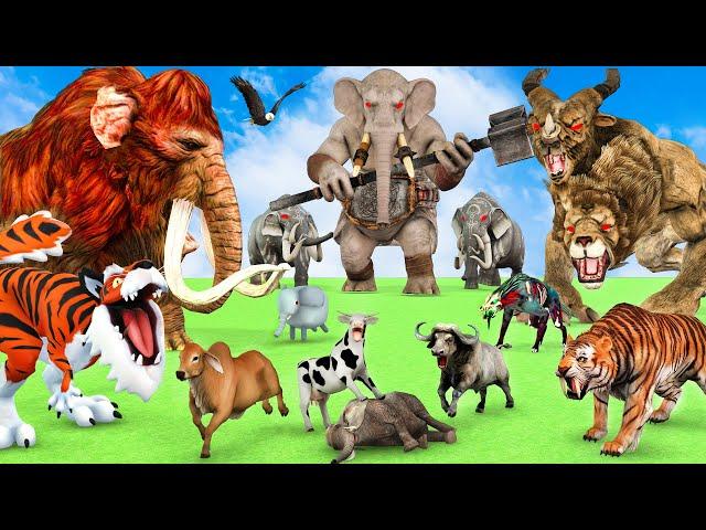 10 Mammoth Elephant Cow vs 5 Giant Tiger Wolf Zombie Bufallo Fight Baby Cow Saved By Woolly Mammoth