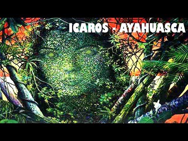 ICAROS CHAMANICOS - Ayahuasca, Cantos for travel in Ayahuasca ceremonies, アヤフアスカ