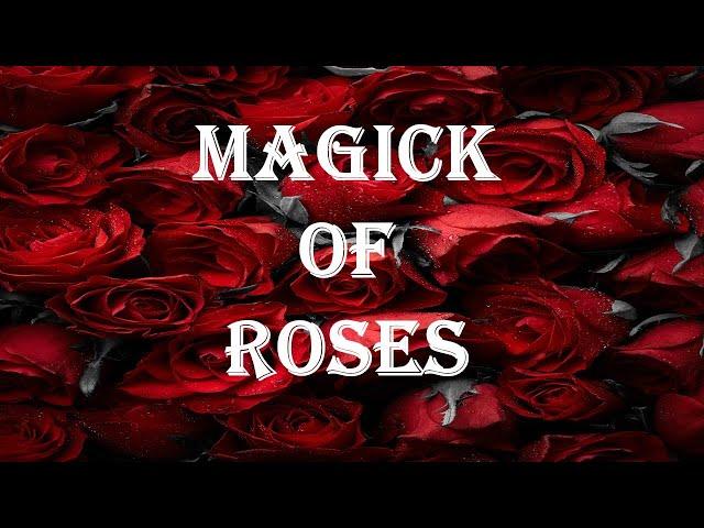 The Magical Power of Roses in Witchcraft 