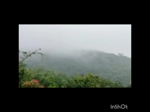kerala monsoon 