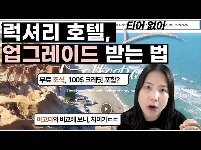 [스마트 여행 꿀팁] 객실을 예약하면 조식과 100불 상품권을 준다고? 럭셔리 전용 호텔 예약 서비스 3곳 비교 분석! 럭셔리 여행 에이전시 이해하기