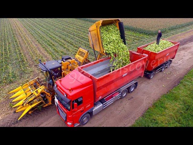 Harvest And Process Millions Of Tons Of Sweet Corn - American Agricultural Technology