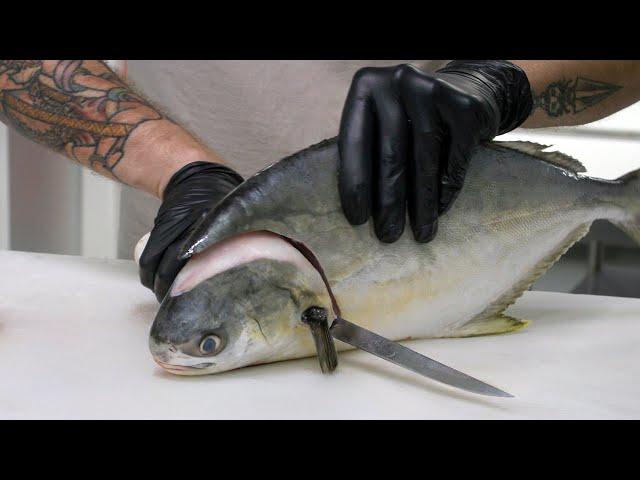 You Need to Fillet Pompano Like This!