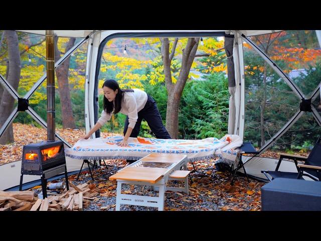 Autumn camping. The great openess shelter. Sweet potatoes rosted on a wood stove.