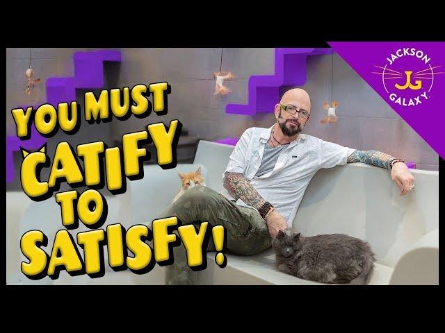 You Must Catify to Satisfy