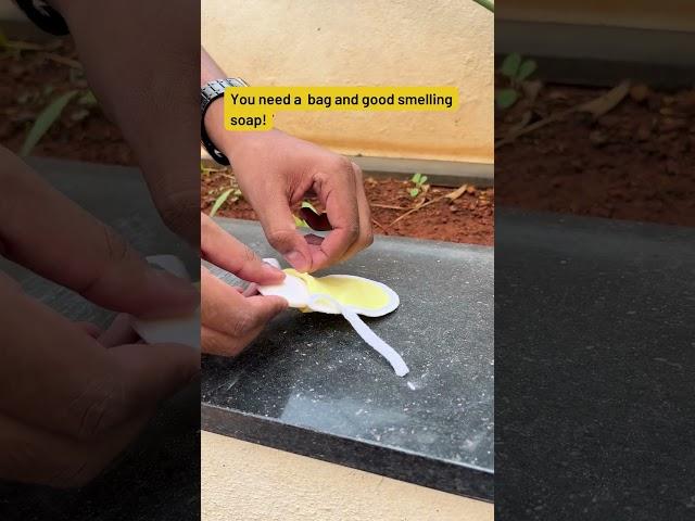 Natural Fly Repellent DIY: Keep Flies Away with Simple Home Ingredients!