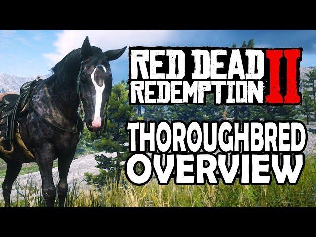 Thoroughbred Overview | Red Dead Redemption 2 Horses