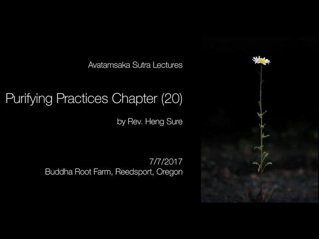 Avatamsaka Sutra Purifying Practices Chapter (20) by Rev Heng Sure