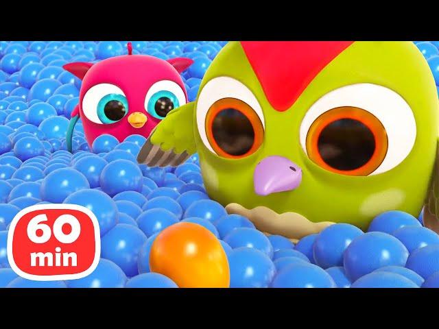 Baby cartoons. Full episodes cartoon & Hop Hop the Owl 1-Hour cartoon for kids.