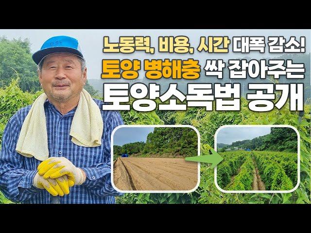 강력한 선충 방제 효과! 비용 시간 노동력 아껴주는 효과만점 토양관리 토양소독법